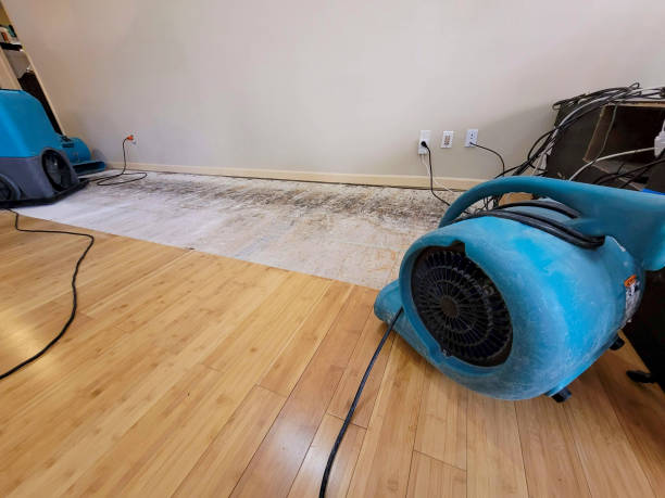 Professional Ceiling Water Damage Repair technician working in Midland, PA